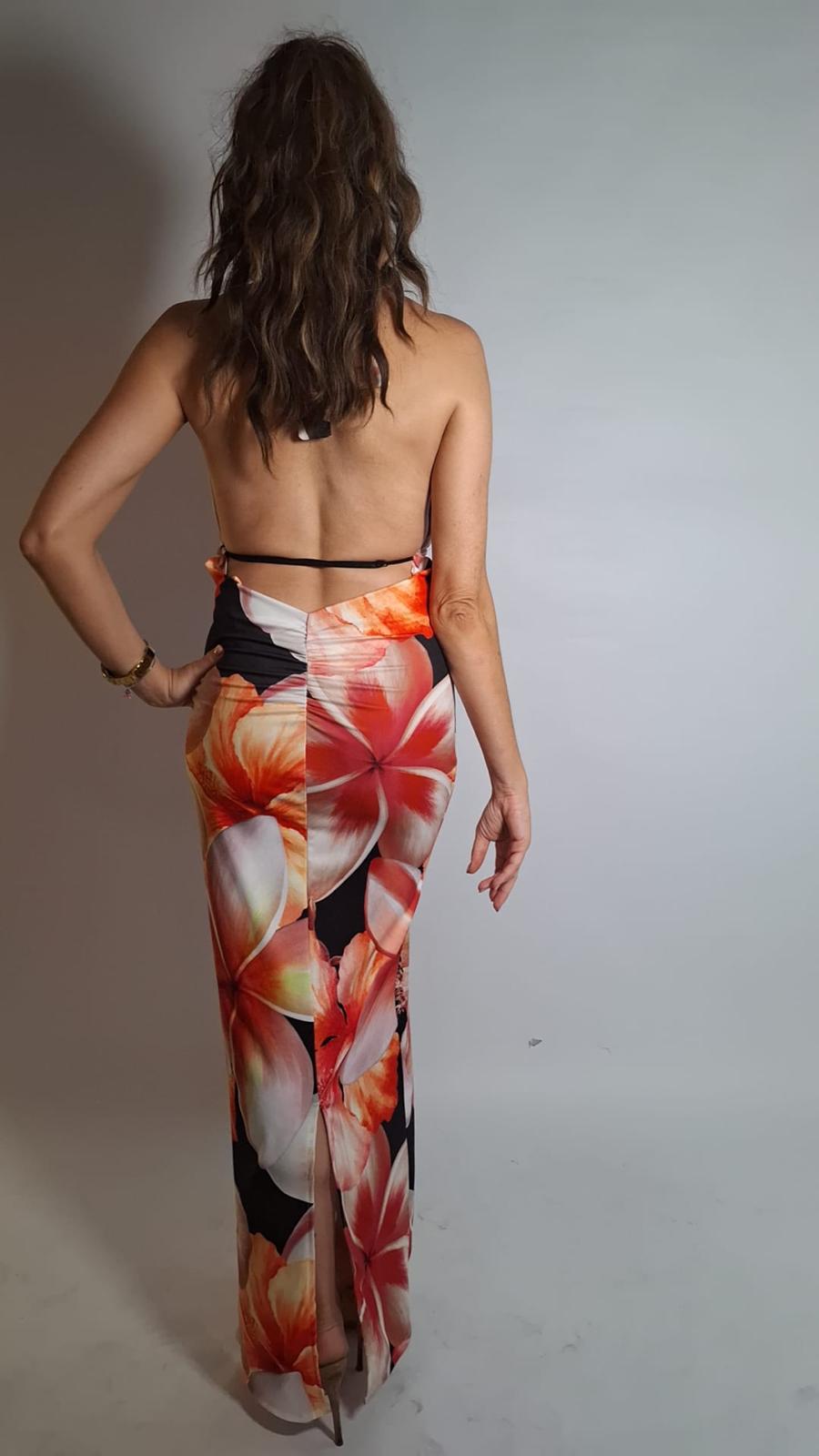 ABITO Hawaii (48227)